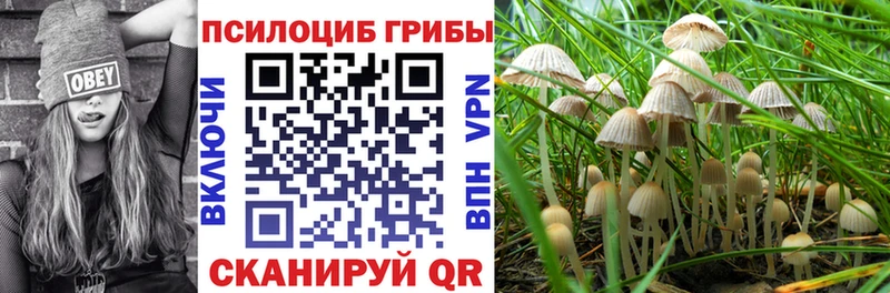 Галлюциногенные грибы ЛСД  Жуков 