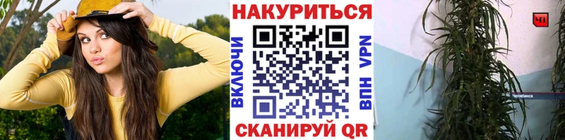 Бошки Шишки Bruce Banner  Жуков 
